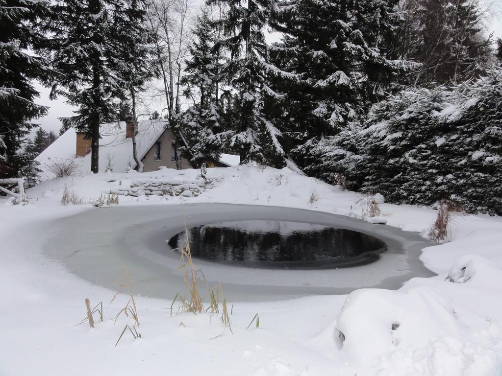 Hotel Pavla Vysocina Nove Mesto na Morave Εξωτερικό φωτογραφία